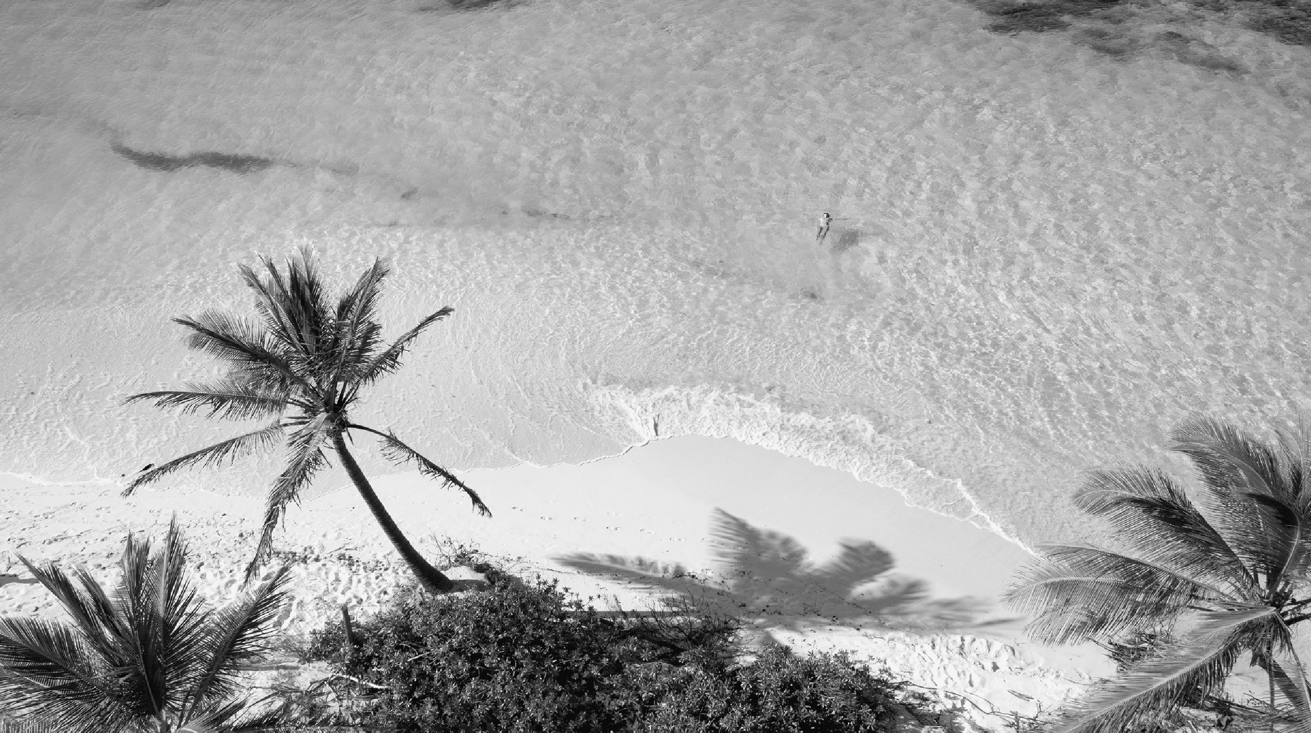 Beach Club and Private Dock